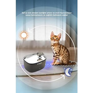 Torima Tpd-01 Siyah Otomatik Filtreli Kedi Köpek Su Pınarı Su Çeşmesi Ultra Sessiz Su Şelalesi