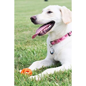 Chuckit! Air Fetch Ball Köpek Oyun Topu Orta Boy