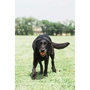 Chuckit! Air Fetch Ball Köpek Oyun Topu Orta Boy