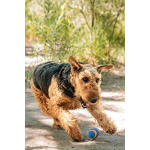 Chuckit! Ultra Squeaker Sesli Köpek Oyun Topu Orta Boy