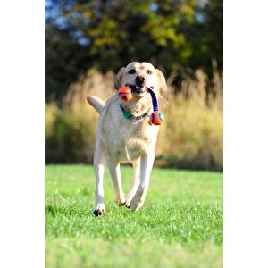 Chuckit! Ultra Duo Tug 2'li Köpek Çekiştirme Topu Küçük Boy