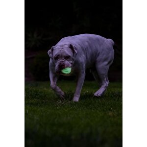 Chuckit! Max Glow Air Fetch Gece Parlayan Köpek Oyun Topu Orta Boy