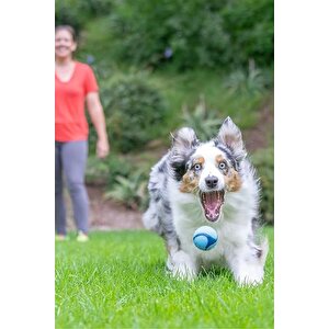 Chuckit! Sniff Fetch Jambon Kokulu Köpek Oyun Topu Orta Boy