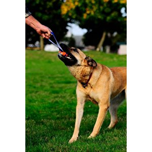 Chuckit! Ultra Tug Köpek Çekiştirme Topu Orta Boy