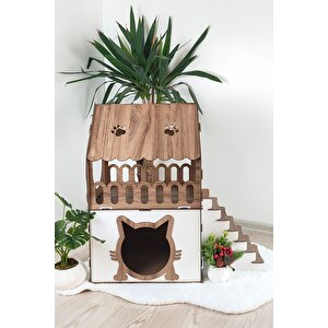 Kedi Evi 2 Katlı Merdivenli