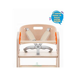 Mamatoyz 10mychair Allınone Mınt - Foldable Hıghchaır Katlanabilir Mama Sandalyesi - Yeşil