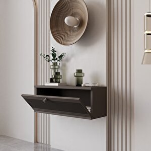 Melura Dresuar %100 Mdf Kapaklı Duvara Monte Gri