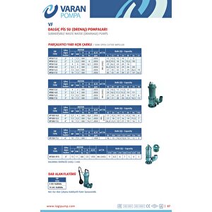 Varan Vf 50-2.2 Parçalayıcı Yarı Açık Çarklı Foseptik Dalgıç Pompa 3 Hp / 2.2 Kw, 50mm Çıkış, 380 V