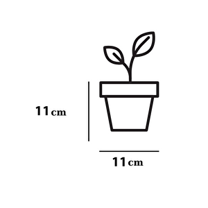 3 Adet Ixora 0,75 Litre Çift Renk Dekoratif Tabaklı Saksı 11 Cm