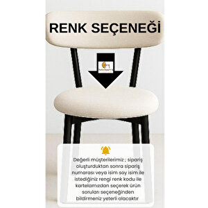 Dekorooms, D Teddy Sandalye, 4 Adet