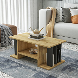 Anıt Orta Sehpa Safirmeşe Antrasit 90 Cm Kitaplıklı Modern Orta Sehpa