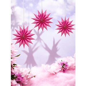 Kutup Yıldızı Tavan Sarkıt Süsü 3 Boyutlu Dekoratif Parti Süsü Pembe 6'lı