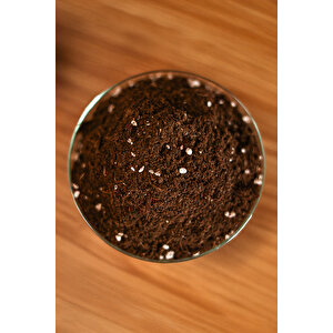Peat Moss 5l | Hava Alan Torf Toprak, Saksı Ve Fide Için %100 Organik Büyüme Ortamı