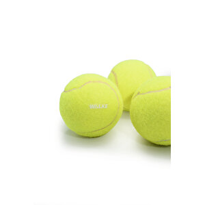 Başlangıç Seviye Antrenman İçin 3 Adet Tenis Topu