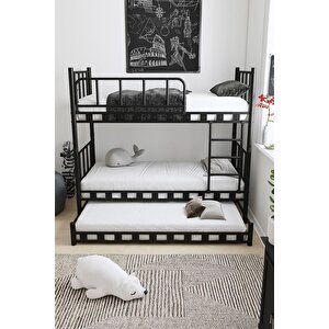 Zambak Yavrulu Genç Çocuk Odası Metal Ranza Ve Karyola 90x200 128
