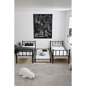 Zambak Yavrulu Genç Çocuk Odası Metal Ranza Ve Karyola 90x200