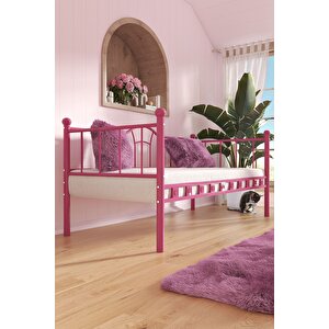 Kamelya Sedir Metal Karyola