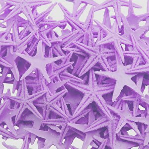 Polyester Deniz Yıldızı Minik Boy  0.5 Cm- 1.5 Cm (100 Adet)  Mor