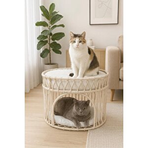 Tasaryum Çift Katlı Kedi Yatağı Kedi Ranzası, İskandinav Kedi Evi Bej