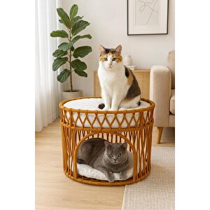 Tasaryum Çift Katlı Kedi Yatağı Kedi Ranzası, İskandinav Kedi Evi Kahverengi