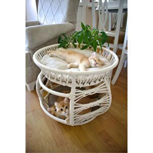 Pet Lüxperi Bombeli Kedi Ranzası 2 Katlı Kedi Yatağı Krem
