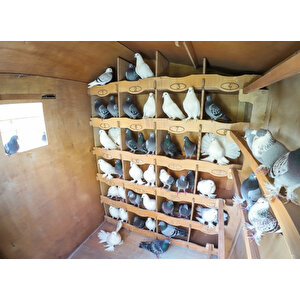 Mandu Ahşap Güvercin Kümesi