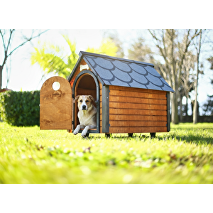 Mandu Ahşap Köpek Kulübesi