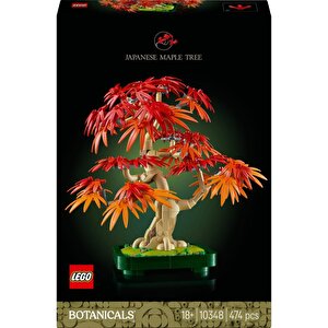 10348 Botanicals Japon Kırmızı Akçaağaç Bonsai Ağacı