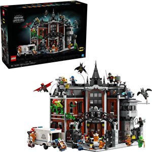 76300  Batman Arkham Asylum