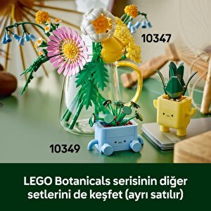 Lego Botanicals Mutlu Çiçekler 217 Parça 10349