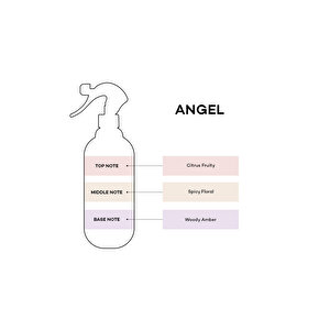 Lux Angel Oda Sprey Kokusu 400 Ml