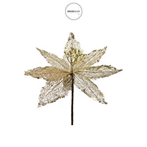 Ponsetya Pike Şampanya 12 Cm