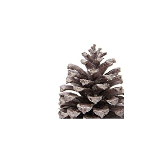 Sahil Kozalağı 2'li Lila