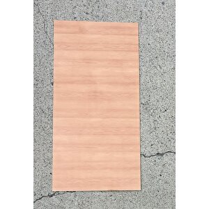 Shiny Açık Kahverengi Ahşap Desen 60x30cm Yapışkanlı Mutfak Banyo Kaplama Duvar Paneli Kağıdı Tx-108