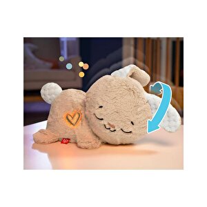 Fisher Price Uyku Arkadaşım Tavşancık Hxg97