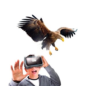 Clementoni Bilim Ve Oyun Dünyadaki Hayvanların Tarihi 64093