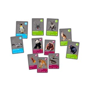 Clementoni Bilim Ve Oyun Dünyadaki Hayvanların Tarihi 64093