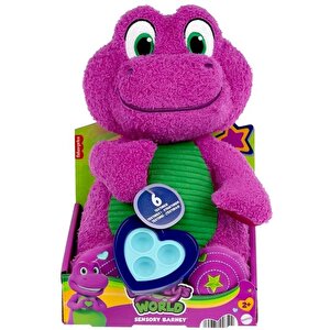 Fisher Price Barneys World Sensory Barney Peluş Oyuncak Hyg89