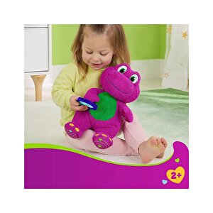 Fisher Price Barneys World Sensory Barney Peluş Oyuncak Hyg89