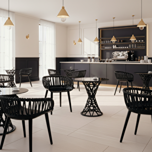 Venezia Kafe Ve Balkon Sandalyesi 2’li Bej