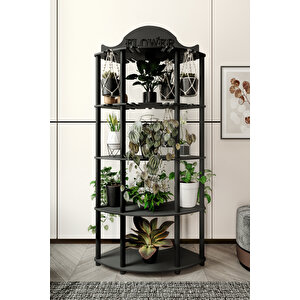 Allamanda Çi̇çekli̇k Saksilik Si̇yah