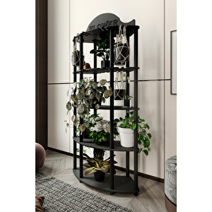 Allamanda Çi̇çekli̇k Saksilik Si̇yah