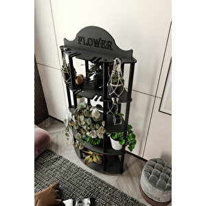 Allamanda Çi̇çekli̇k Saksilik Si̇yah