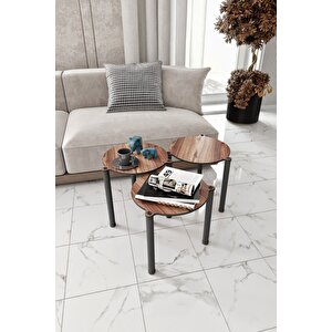 La Via Ceviz Yuvarlak Zigon 3 Lü