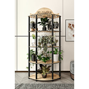 Allamanda Çi̇çekli̇k Saksilik Meşe