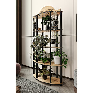 Allamanda Çi̇çekli̇k Saksilik Meşe