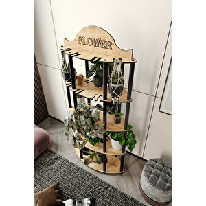 Allamanda Çi̇çekli̇k Saksilik Meşe