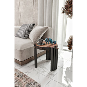 La Vi̇a Madran Cevi̇z Yuvarlak Zi̇gon 4 Lü