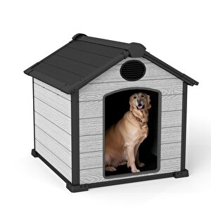 Kedi Ve Köpek Kulübesi