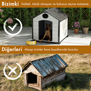 Kedi Ve Köpek Kulübesi